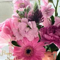 カーネーション,ガーベラ,ストック,ラナンキュラス,トリフォリウムの画像