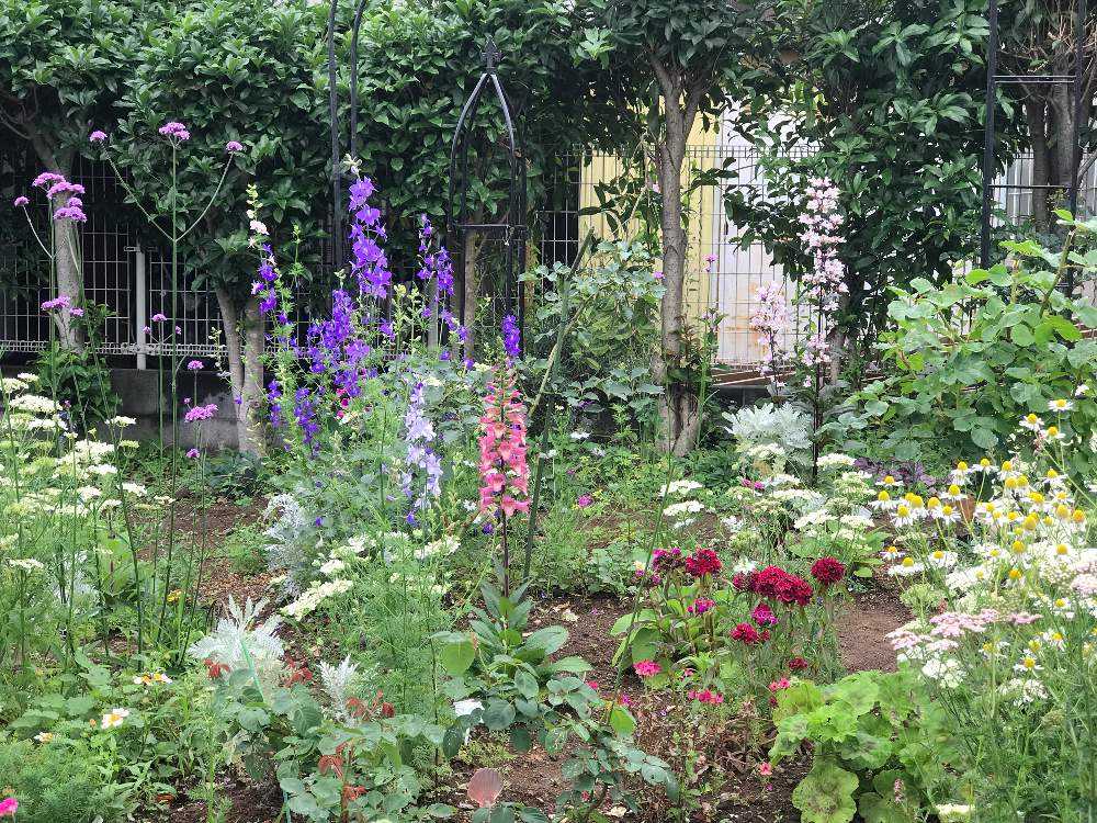 ガーゴイルD680 庭 イングリッシュガーデン ぴりり 英国製 ガーゴイル