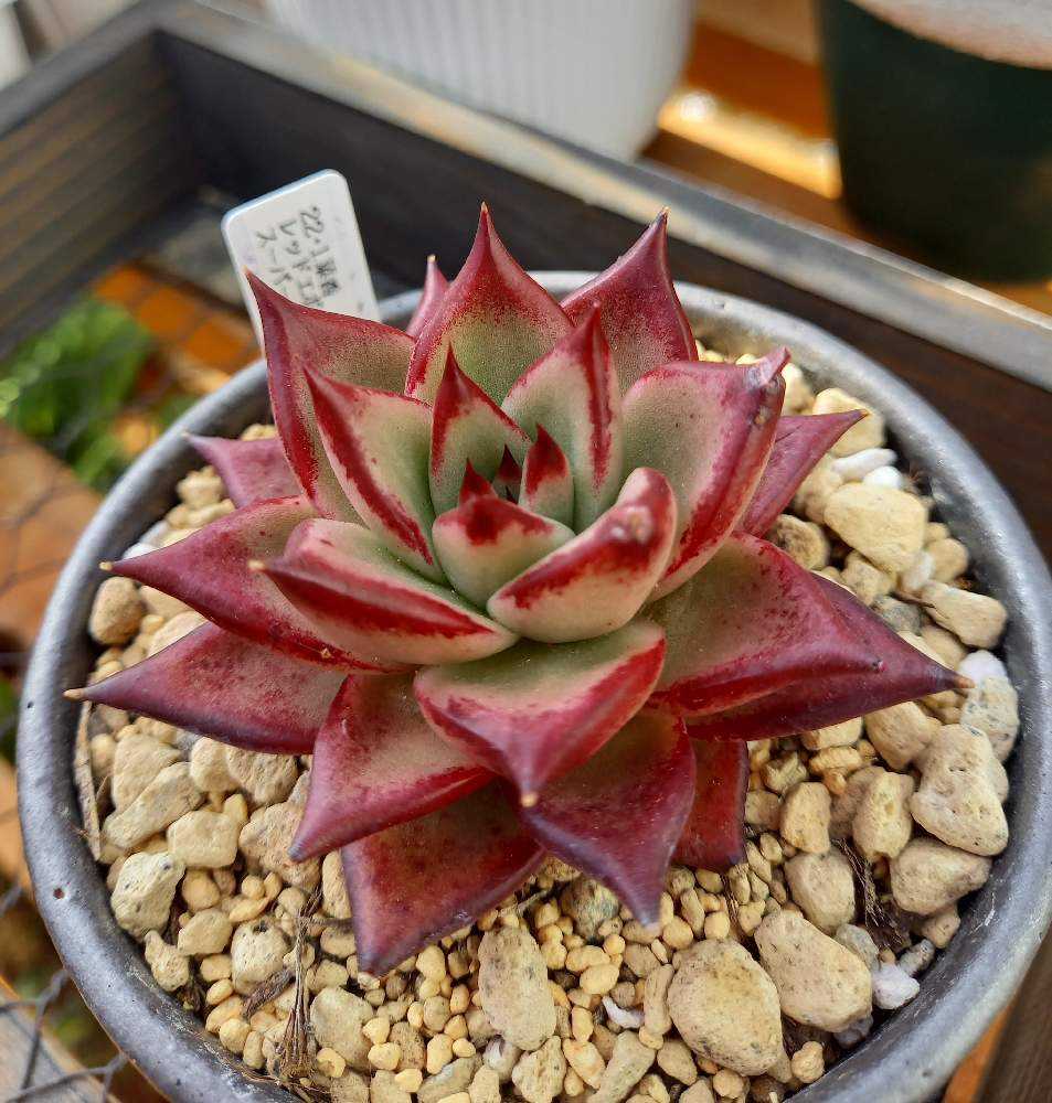 1674039449862_thum_232205_2023