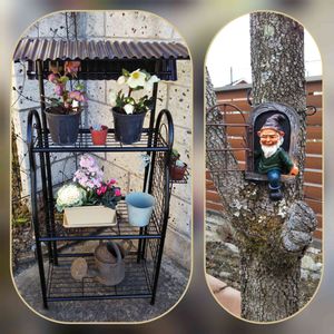 クリスマスローズ 氷の薔薇,多肉植物,花壇作り,リメーク,私の庭の画像