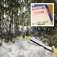 唐辛子,黒竹,雪だるま,家庭菜園奮闘日記,雪像の画像