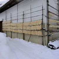 ダイコン,白色,１月,福島県,干しシリーズの画像