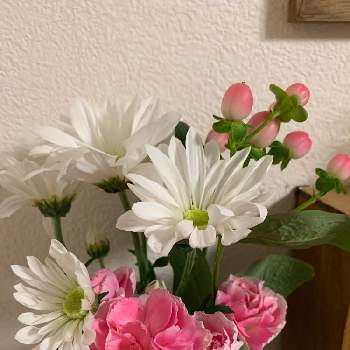 ピペリカム,スプレーマム,スプレーカーネーション,お花を楽しむ,ピンクの花の画像