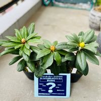 0 7cfrfadhopwm 0 7cfrfadhopwm