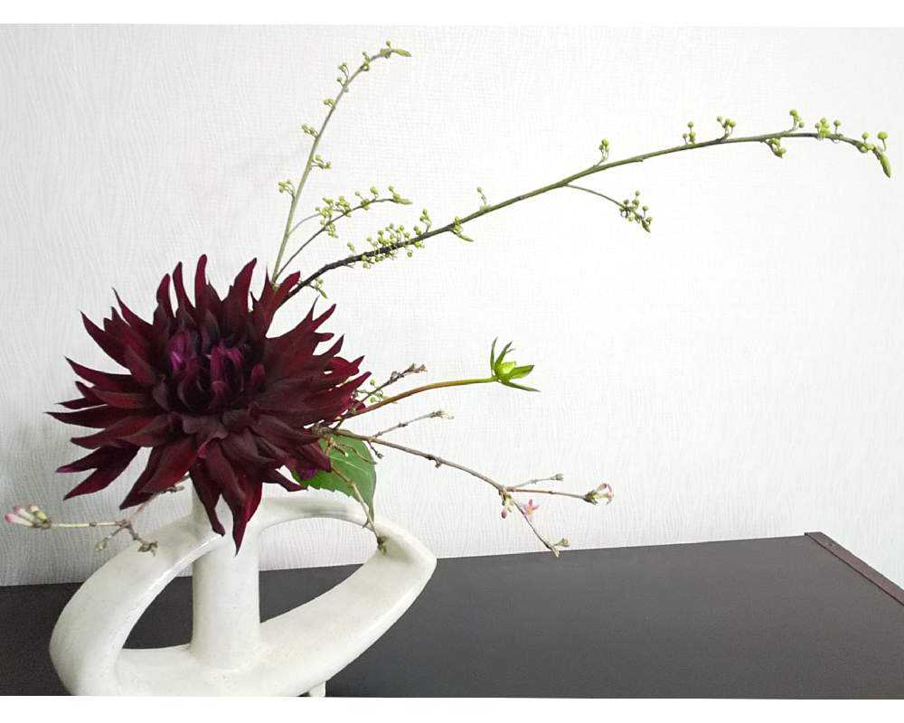 アメリカの生徒さんの作品集37〜変形花器に生ける➕sasukemama倶楽部