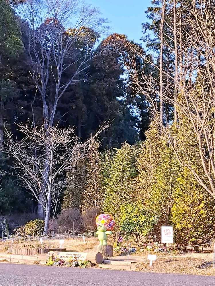 エリィさんの里山ガーデン（大花壇）への投稿