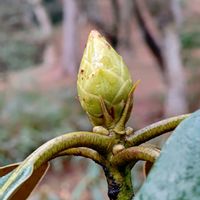 0 7cfrfadhopwm 0 7cfrfadhopwm