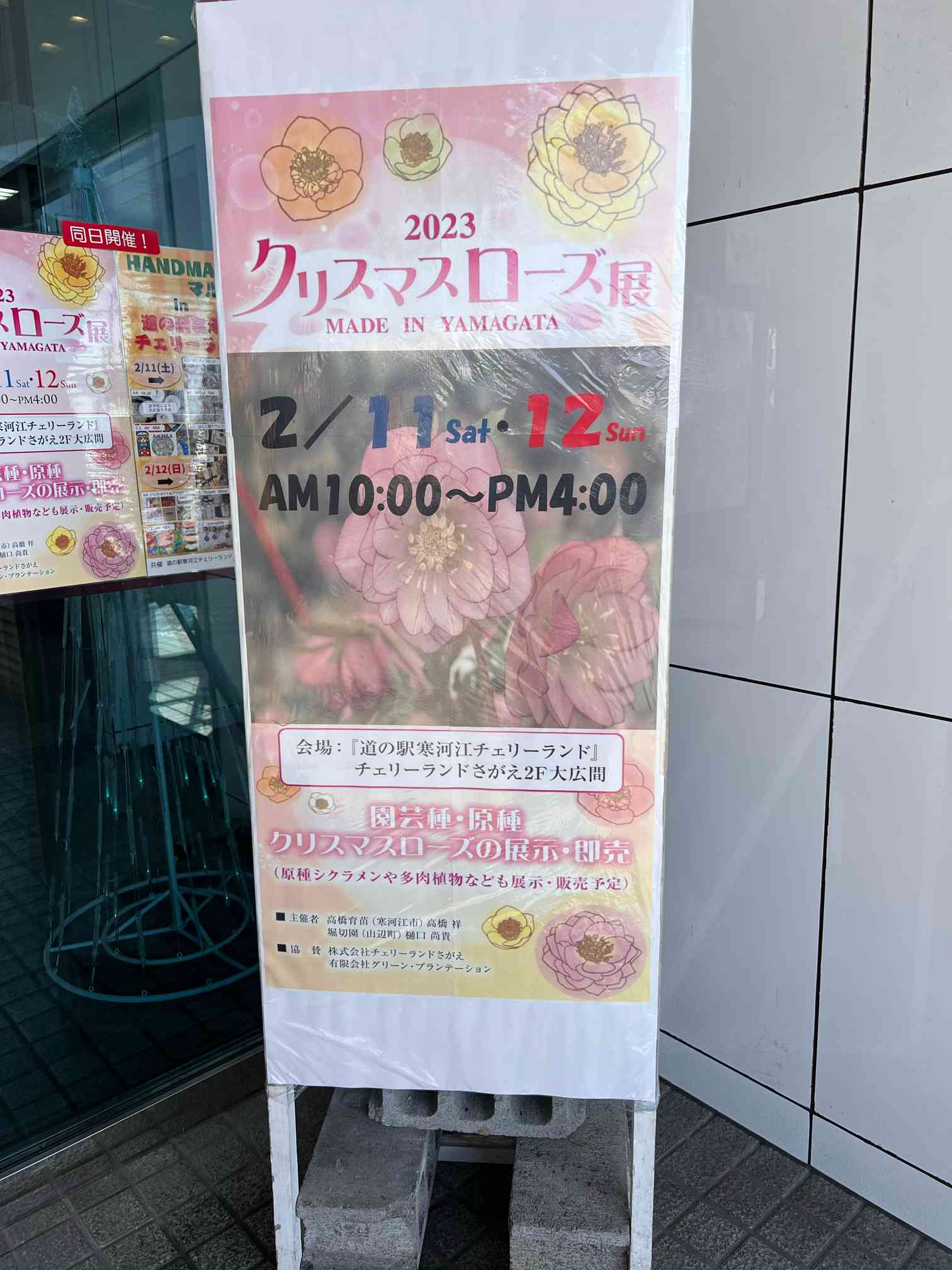 クリスマスローズ展1日目に行ってきたよ｜🍀GreenSnap（グリーンスナップ）