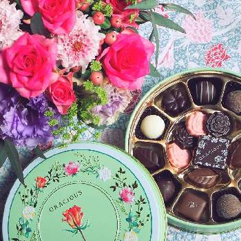 和薔薇,おへやで育てるばら,和バラファン,和薔薇倶楽部,和バラ　そよの画像