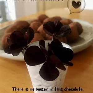 手作り,花瓶,庭の植物,バレンタイン,クローバー☆の画像