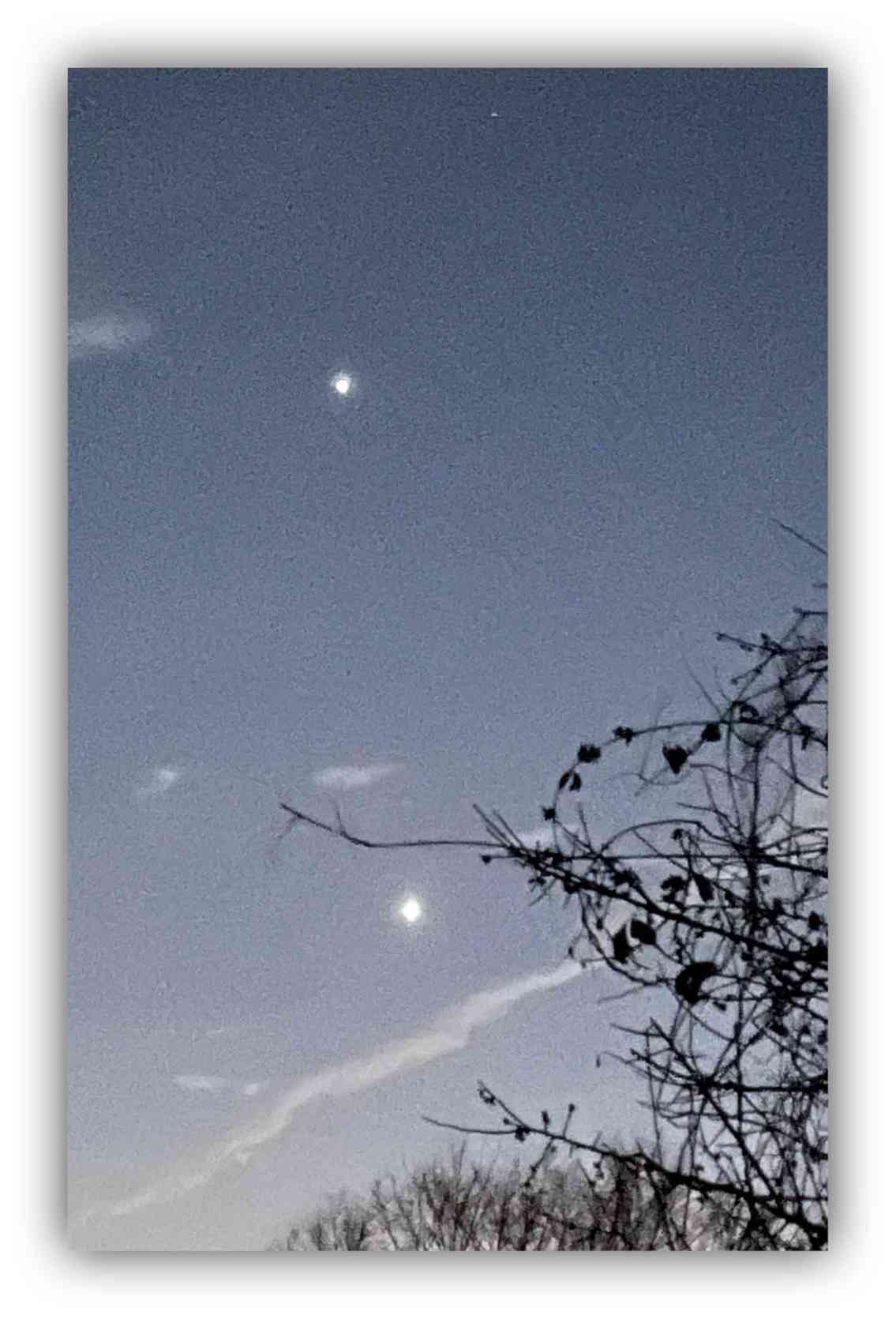 宵の明星一番星の金星の一覧｜🍀GreenSnap（グリーンスナップ）