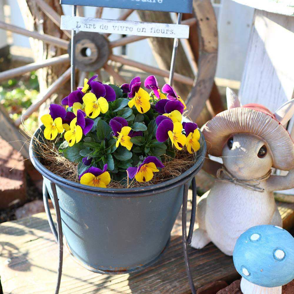 花の刺繍🪡｜🍀GreenSnap（グリーンスナップ）