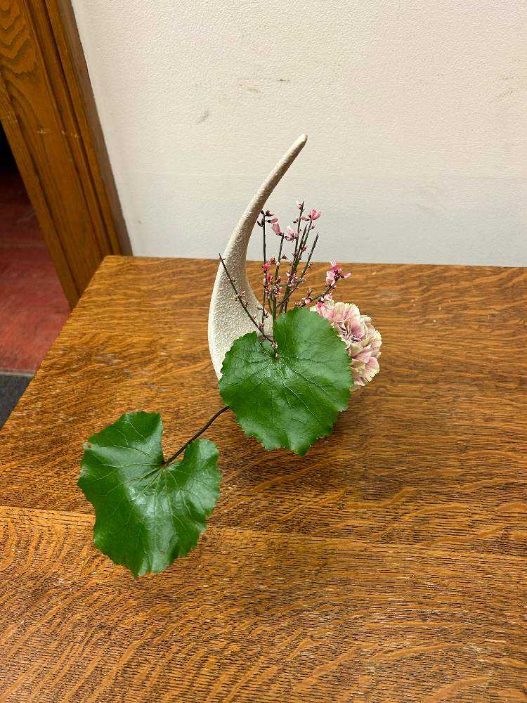 アメリカの生徒さんの作品集37〜変形花器に生ける➕sasukemama倶楽部