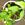 mocci