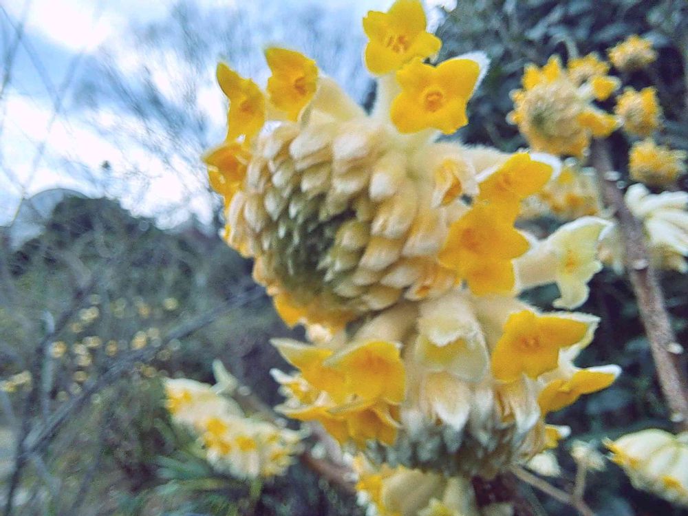 エリィさんの港の見える丘公園への投稿