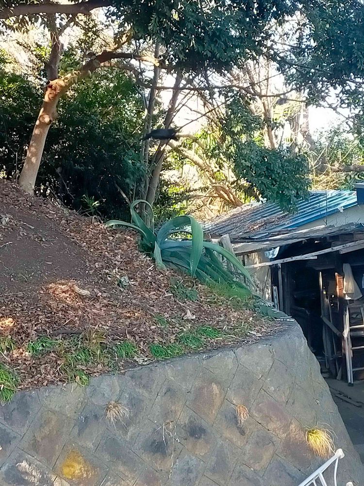 とりさんの港の見える丘公園への投稿