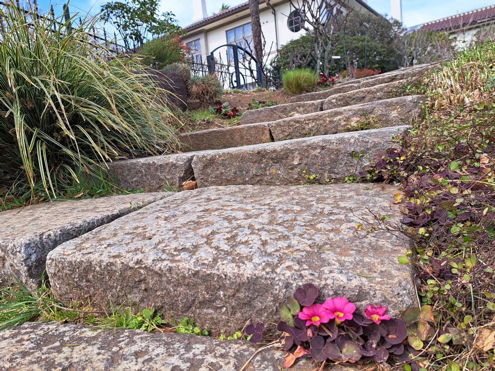 エリィさんの港の見える丘公園への投稿