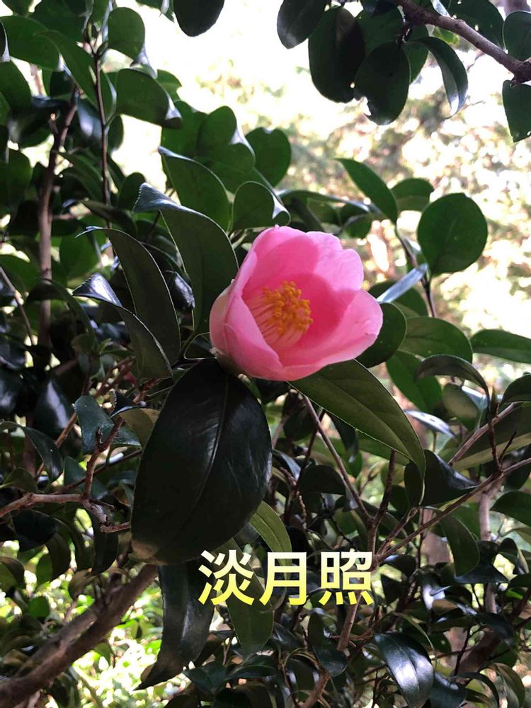 たなたなさんの港北区への投稿