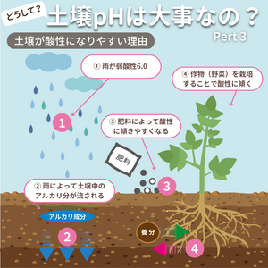 ガーデニング,植物のある暮らし,肥料,プランター栽培,ベランダ菜園の画像