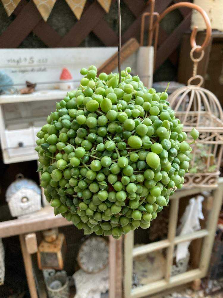 1678273003369_thum_735269_phot