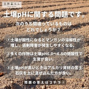 植物のある暮らし,肥料,プランター栽培,ベランダ菜園,露地栽培の画像