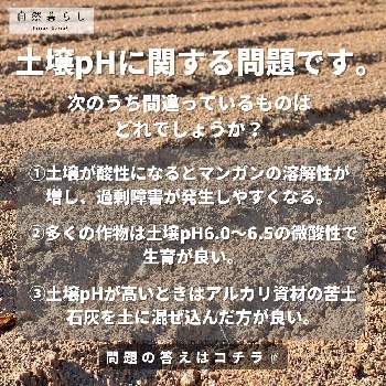 土壌改良,自然暮らし,植物のある暮らし,自然のある暮らし,土壌のphの画像