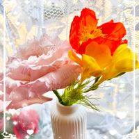 トルコキキョウ,ポピー,フリージア,ムギ,ひとときの癒やしの画像
