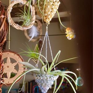 かわいい,観葉植物,DIY,ハンドメイド,ダイソーの画像