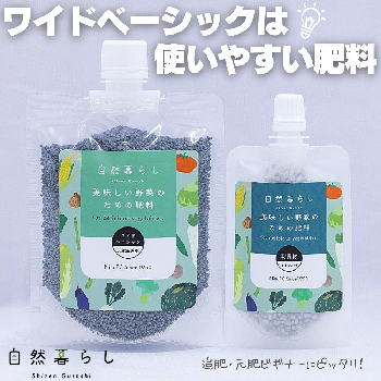 自然暮らし,植物のある暮らし,自然のある暮らし,家庭菜園,おうちde菜園の画像