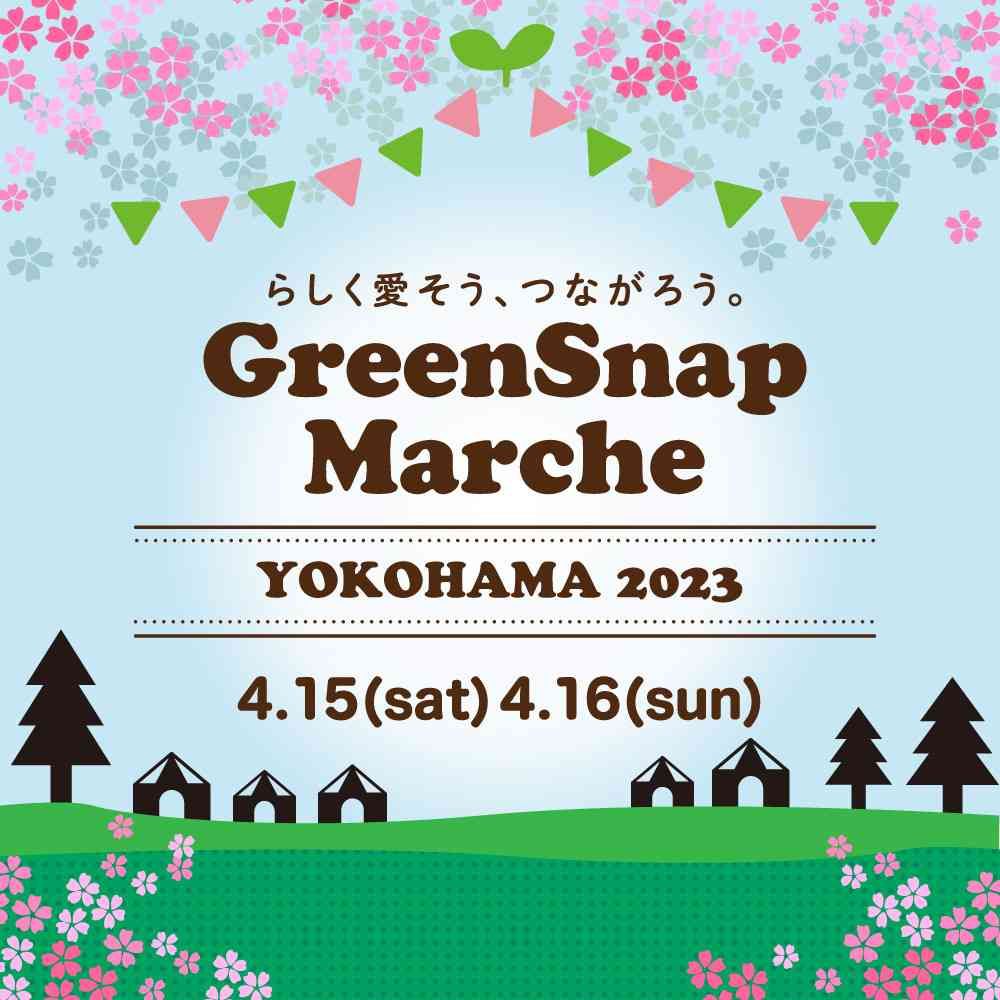 GreenSnap公式さんの山下公園への投稿