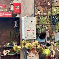 銘月,多肉植物,サビサビ,ジャンク,JUNK Gardenの画像