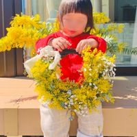 ミモザ,ミモザアカシア,ユーカリ,カスミソウ,春のお花の画像