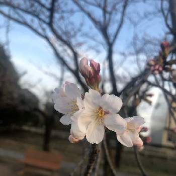 ユリ カサグランデの画像