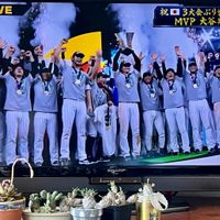 蛾眉山,多肉植物,ユーフォルビア,多肉女子,WBC 2023 ⚾️の画像