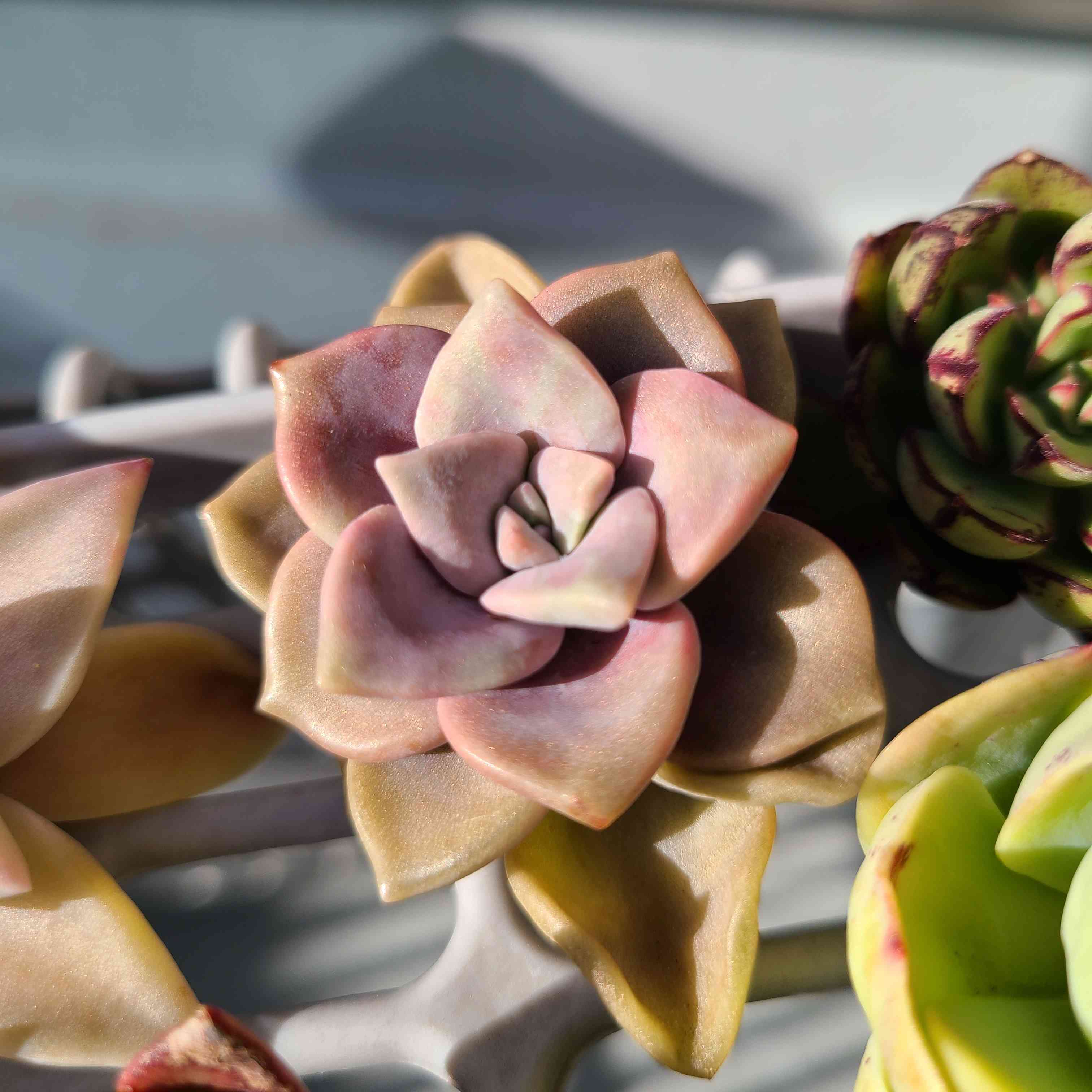 1679489192663_269518_20230322_