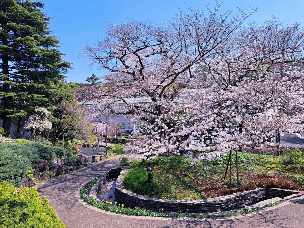 エリィさんの港の見える丘公園への投稿