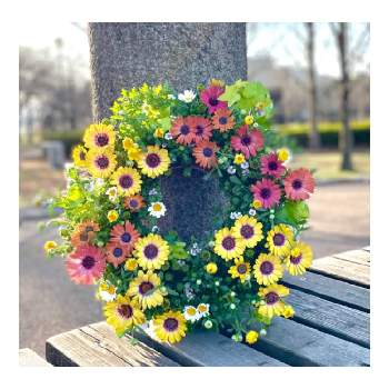手作り,ナチュラルドライフラワー,植物のある暮らし,ドライフラワーのある暮らし,野草の画像