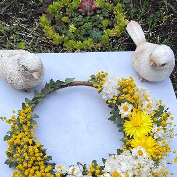 手作り,ナチュラルドライフラワー,植物のある暮らし,ドライフラワーのある暮らし,野草の画像