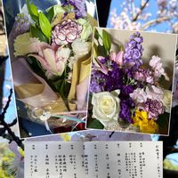 愛しの紫,お祝い花,中島みゆき糸つながりの画像