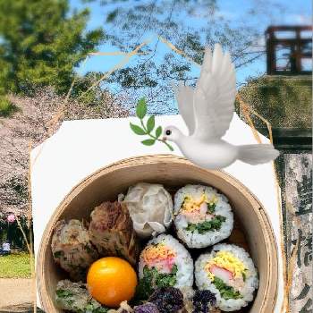 エディブルフラワー,ビオラエディブルフラワー,ソメイヨシノ,サクラ,ウクライナに平和をの画像