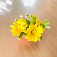 楽しみ,癒しの花,テーブルフラワー,花のある暮らし,花遊びの画像