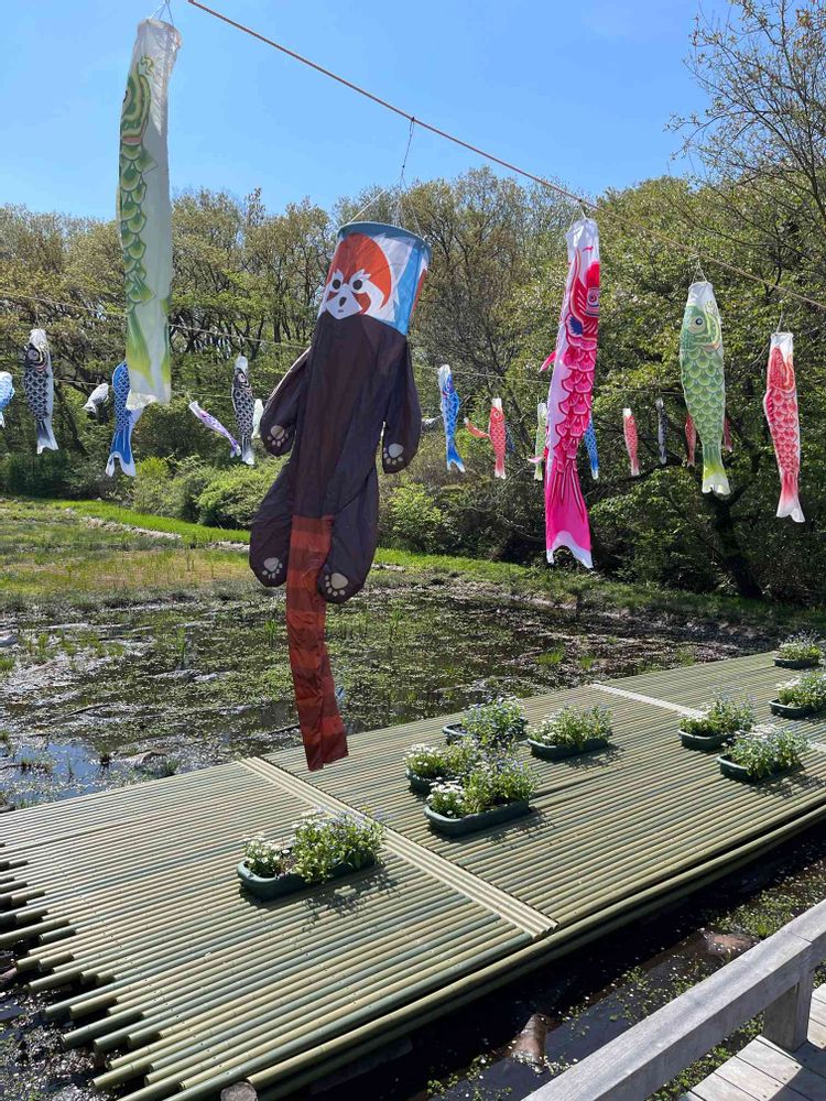 ミーシーさんの里山ガーデン（大花壇）への投稿