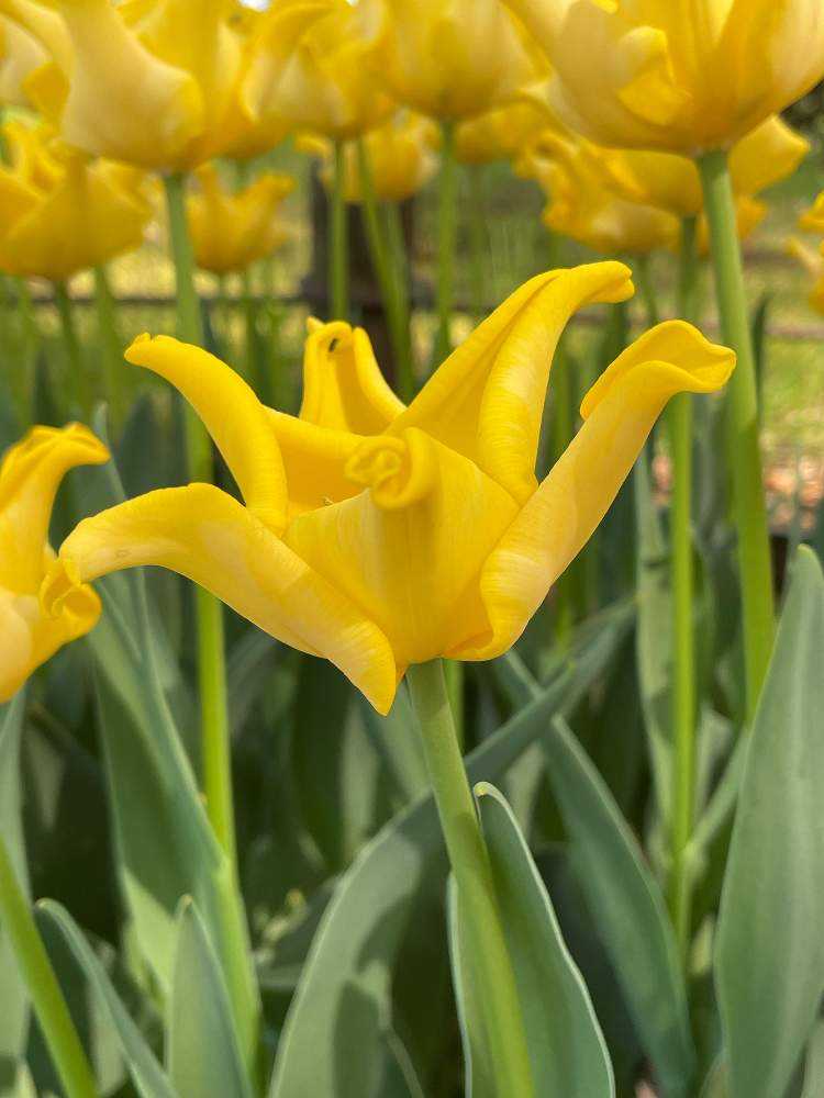 1680691165169_thum_120570_phot