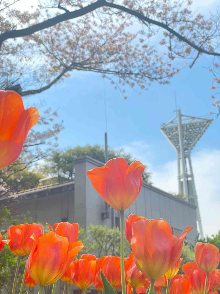 ふくまろさんの横浜公園への投稿