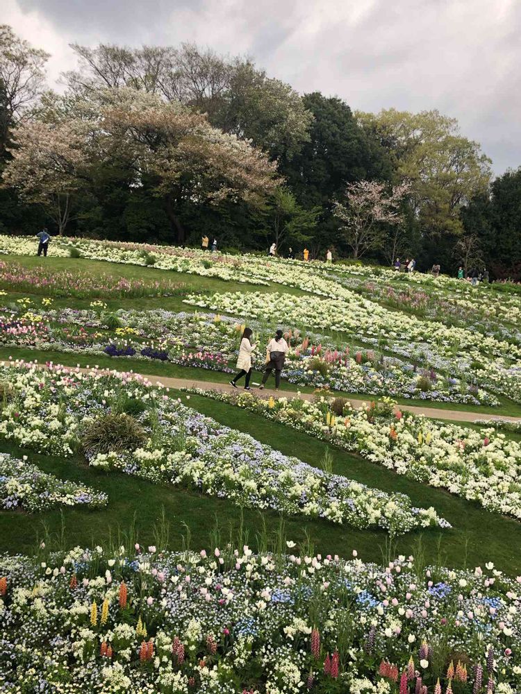 ピリチャンさんの里山ガーデン（大花壇）への投稿