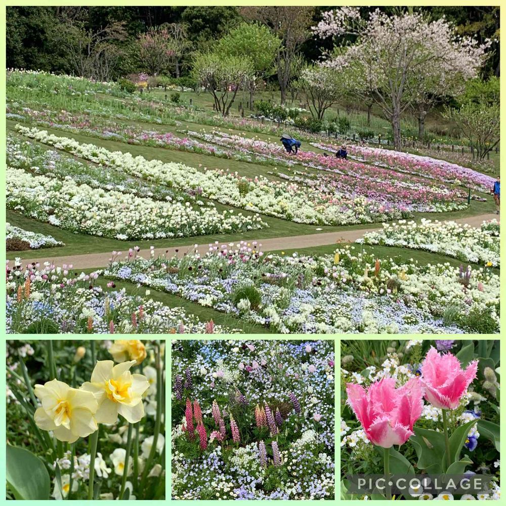 kakoさんの里山ガーデン（大花壇）への投稿