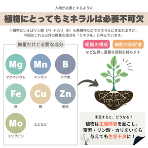 ガーデニング,植物のある暮らし,肥料,プランター栽培,ベランダ菜園の画像