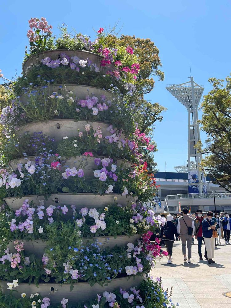 ミーシーさんの横浜公園への投稿