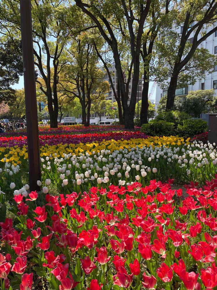 ミーシーさんの横浜公園への投稿