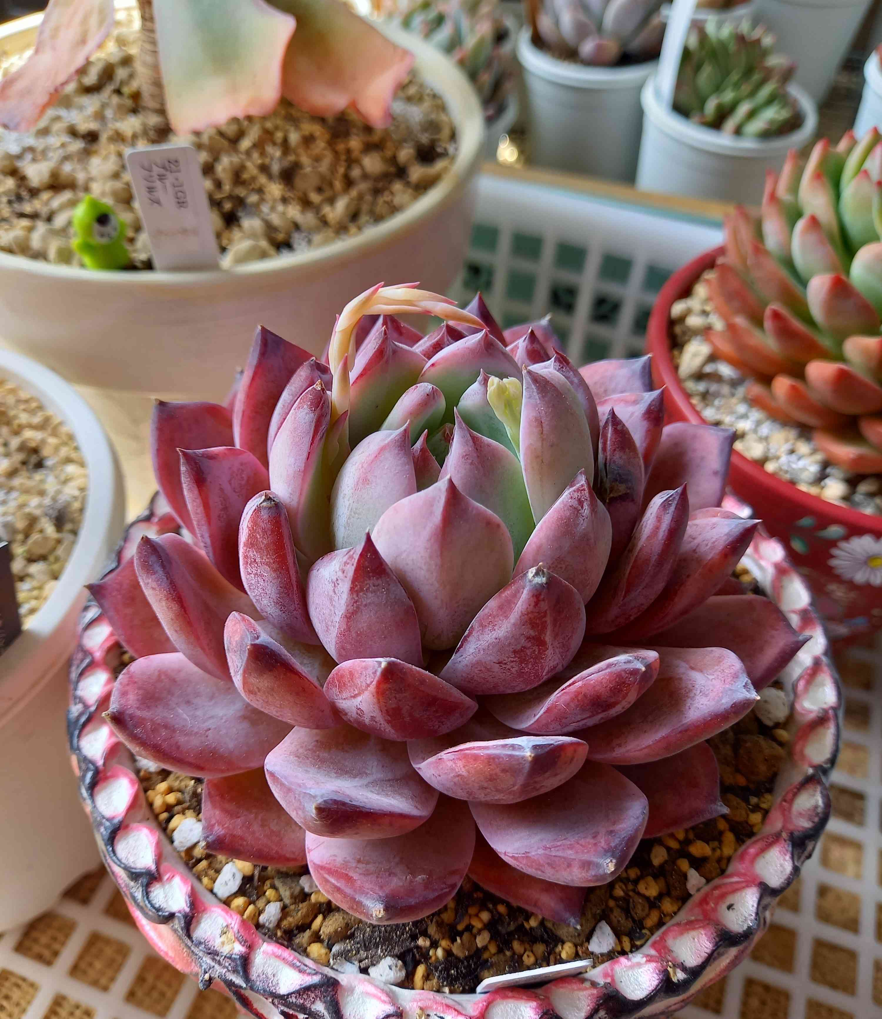 1681132120742_325684_20230410_